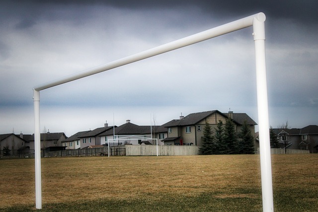可以借鉴日 可以借鉴日