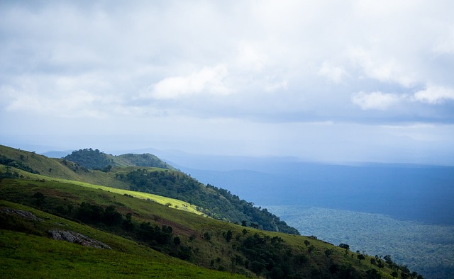 他们更加注 他们更加注
