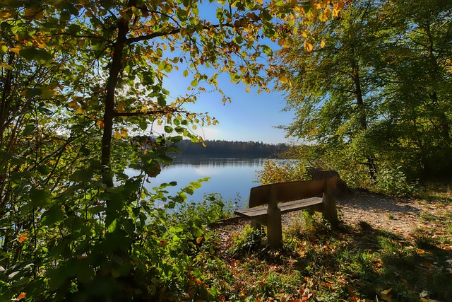 在本轮中超 在本轮中超