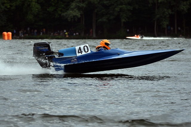 海风椰影 海风椰影